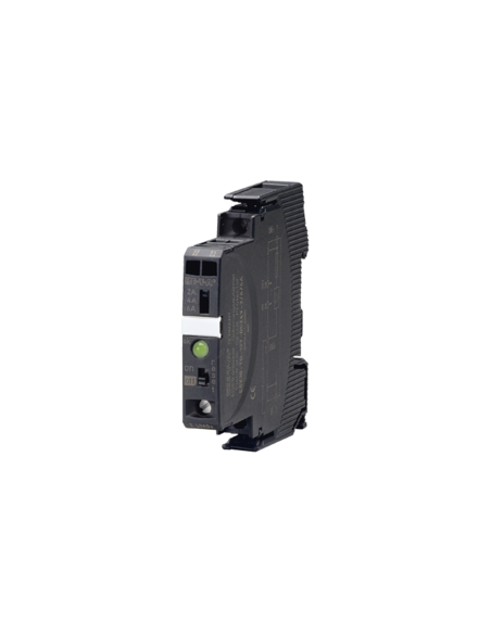 ESX10-TD-101-DC24V-2/4/6A, Interruptor electrónico