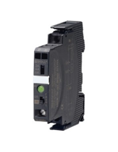 ESX10-TD-101-DC24V-6/8/10A, Interruptor electrónico